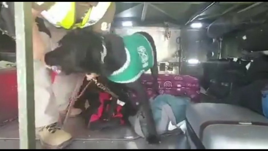 La droga fue avaluada en 70 millones de pesos. (Foto: captura de pantalla). 